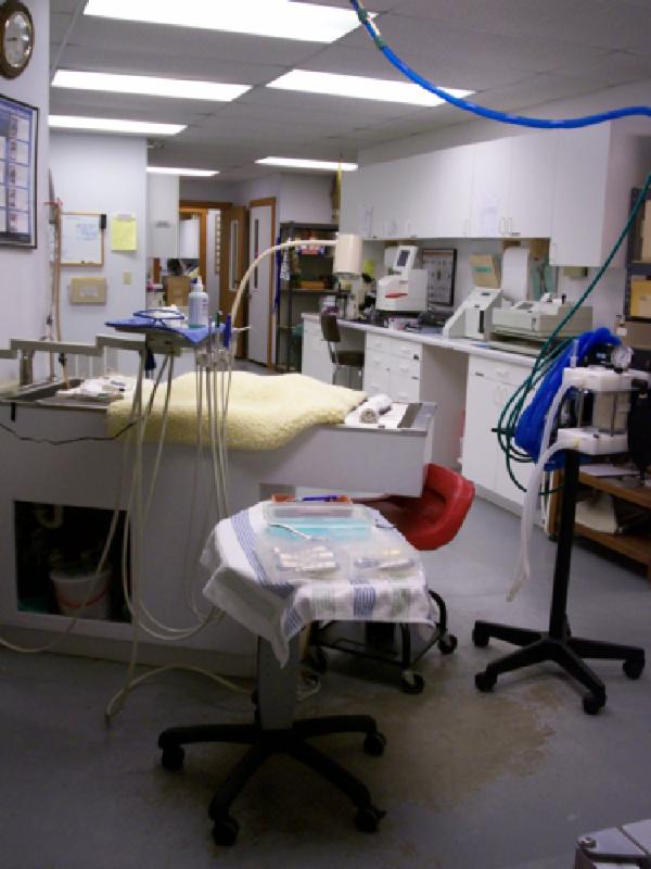 Surgical Suite